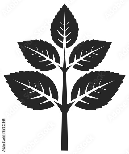 Symmetrical black silhouette icon of a plant sprig with serrated leaves