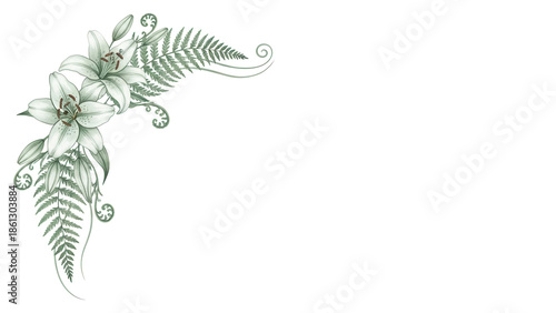 Hand painted minimal floral border corner with lilies and fern in soft sage green isolated on white background