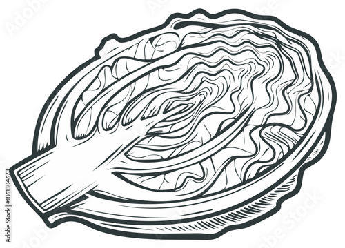 Detailed monochrome line art illustration of a cut napa cabbage half showing its intricate cross section