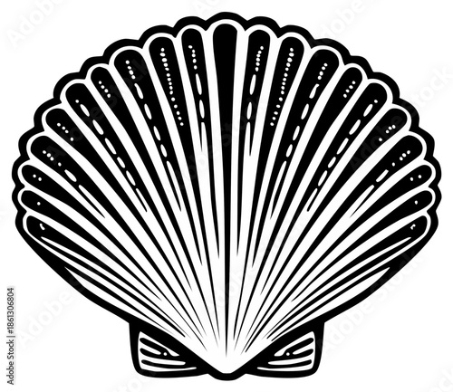Seashell Illustration Scallop Shell in Bold Black and White Outline