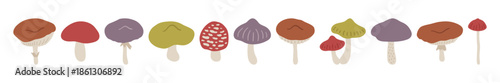 Set of different mushrooms. Simple autumn icons on white background. Forest edible and poisonous wild fungus, flat style vector illustration. Green, red, violet, and gray colors