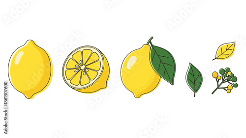 Vibrant Citrus Fruit Collection: Fresh Lemons, Sliced Halves, and Green Leaves Illustration Set for Healthy Living and Culinary Design Elements