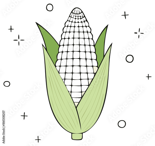 Whimsical hand drawn corn cob illustration with green husks and white kernels doodle art