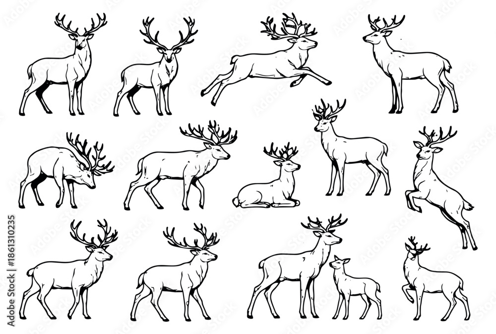 Fototapeta premium Hand drawn line art deer set featuring stags in various poses and a fawn for wildlife and forest designs