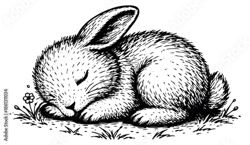 Hand drawn line art illustration of a cute bunny depicting peaceful sleep for nature themes
