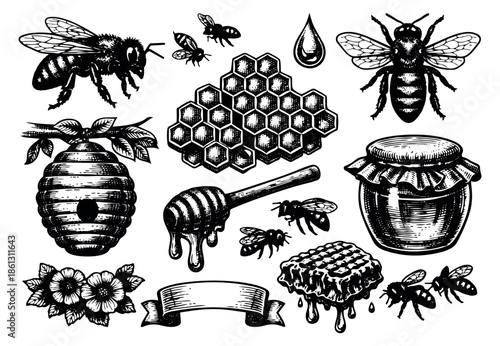 Hand drawn bee and honey elements set featuring bees, honeycomb, a beehive, and a honey jar for natural food packaging