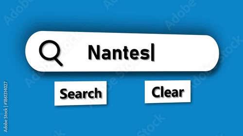 Search bar with the word Nantes typed in and search and clear buttons internet search online search