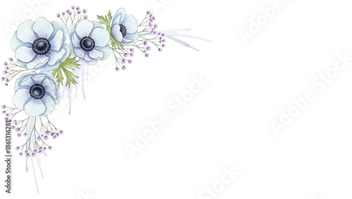 Minimal elegant watercolor corner design featuring anemones and baby's breath in pastel blue and lavender isolated on white background