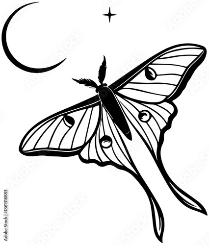 Luna Moth Illustration with Crescent Moon and Star, Celestial Boho Style Line Art Vector