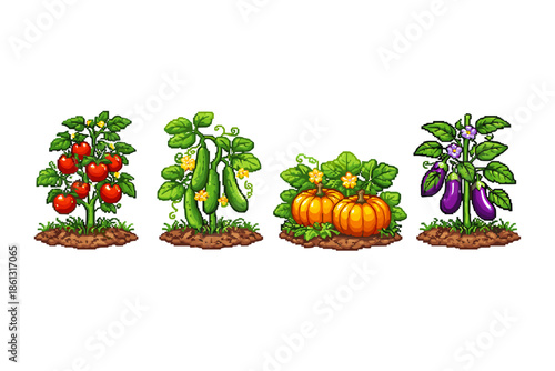 Pixel art illustration of four different vegetable plants growing in soil