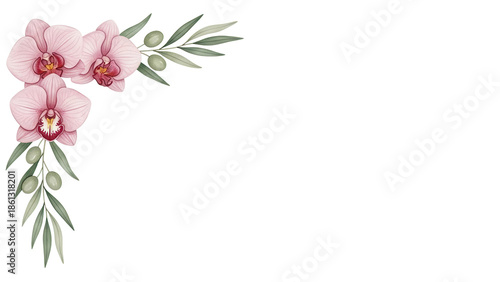 Minimal elegant watercolor corner design with orchids and olive branches in dusty rose isolated on white background