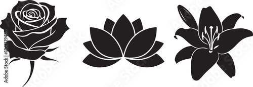 Black silhouette flowers rose lotus lily vector illustration