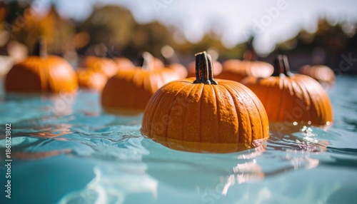 Pumpkins Floating in Water - A Festive Autumn Display.