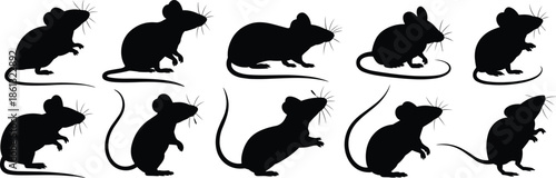 Mouse silhouettes collection illustration featuring rat poses, black vector rodent animals icons isolated on white background minimal design set artwork