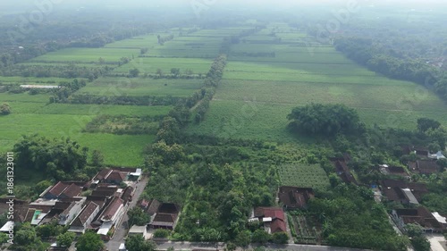 Wide aerial panorama of vast green sugarcane plantations stretching towards the horizon.