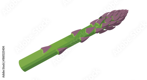 Fresh vibrant green asparagus spear, a healthy vegetable offering crisp deliciousness and essential nutrients for culinary delights, essential for