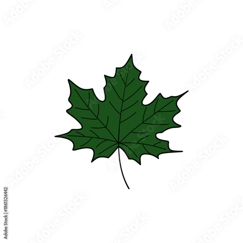 Green Maple Leaf Illustration on White Background