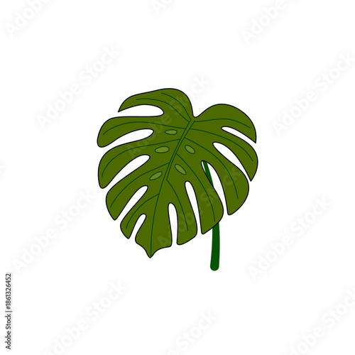 Monstera Deliciosa Leaf: Minimalist Green Botanical Illustration