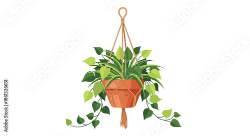 Vibrant green foliage gracefully spilling from a charming terracotta hanging planter, creating a serene indoor garden aesthetic.