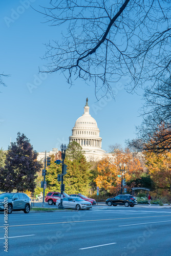 US Capitol in Autumn Foliage, Washington DC
