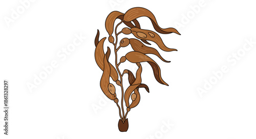 Stylized marine plant illustration showcasing vibrant brown aquatic flora with detailed fronds and floating structures perfect for ocean-themed