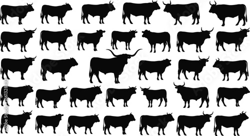 Bull silhouette set, cattle and cow vector collection, farm animal icons, ox standing and walking, livestock agriculture graphics, beef black.