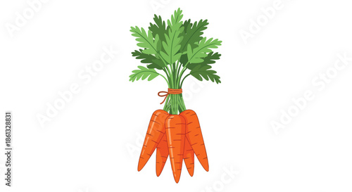 A vibrant illustration showcasing a freshly harvested bunch of crisp orange carrots with lush green leafy tops, neatly tied together, embodying