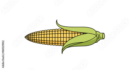 Bright yellow corn on the cob illustration featuring green husks on a plain white background