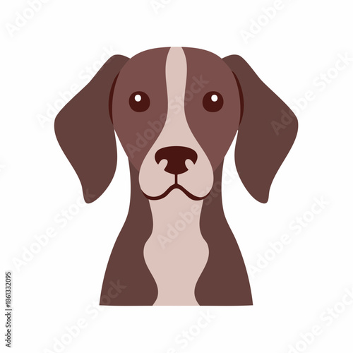 Dog illustration of a brown and white pointer breed with its expressive eyes and floppy ears on a clean background