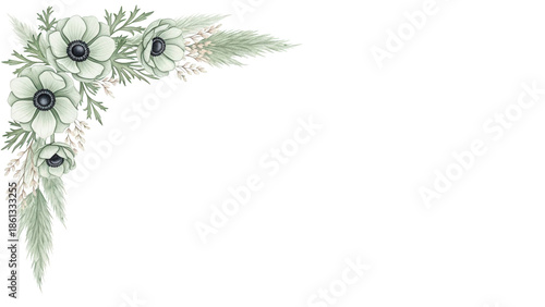 Soft elegant watercolor corner border with anemones and pampas grass in sage green isolated on white background