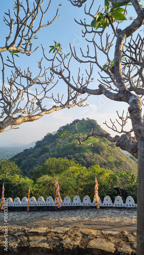 The hilly midlands of Sri Lanka near Dambulla.