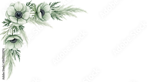 Soft elegant watercolor corner border with anemones and pampas grass in sage green isolated on white background