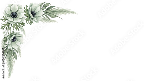 Soft elegant watercolor corner border with anemones and pampas grass in sage green isolated on white background