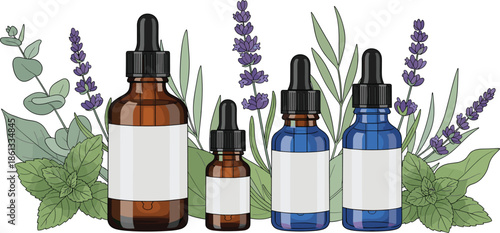Essential oil dropper bottles with lavender and mint leaves, aromatherapy herbal skincare collection, cad drawing flat vector illustration, isolated natural beauty mockup
