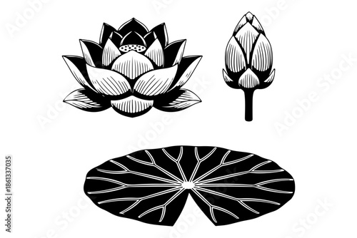 Elegant black and white botanical illustration set featuring a blooming lotus flower, a delicate bud, and a broad lily pad, perfect for design elements representing purity, nature, and tranquility
