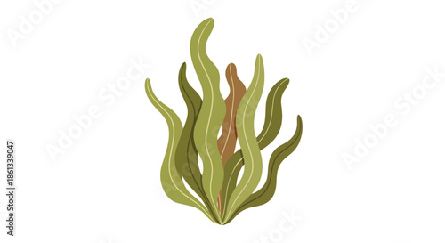Vibrant green and earthy brown aquatic plant illustration on white background, stylized seaweed artwork displaying natural flowing organic shapes