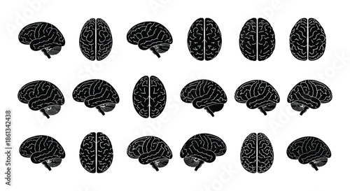 Visualizing the human brain ideas thought processes and cognitive function