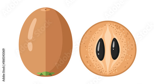 Vibrant flat illustration depicting a complete and halved sapodilla fruit, highlighting its textured brown skin, the sweet, granular interior, and
