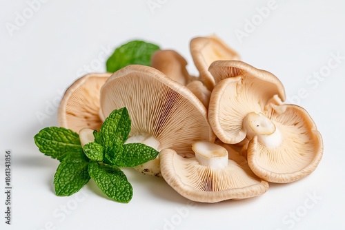 Oyster mushrooms and fresh mint leaves on white background 1