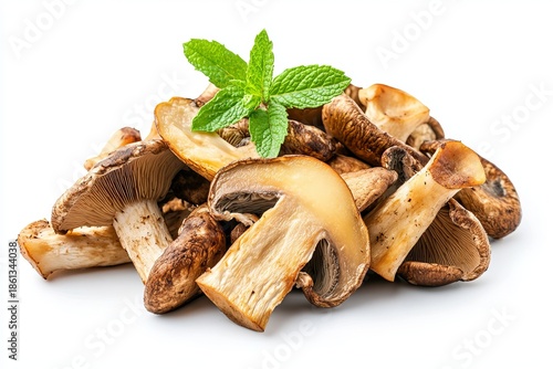 Pile of Roasted Mushrooms and Oyster Mushrooms with Mint