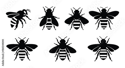 A collection of detailed black and white bee and wasp illustrations