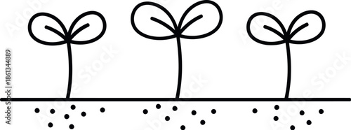 Three seedlings growing