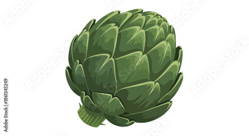 Fresh green artichoke bud illustration, perfect for culinary and healthy eating concepts
