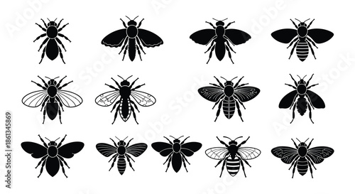 A collection of detailed black and white bee and wasp illustrations