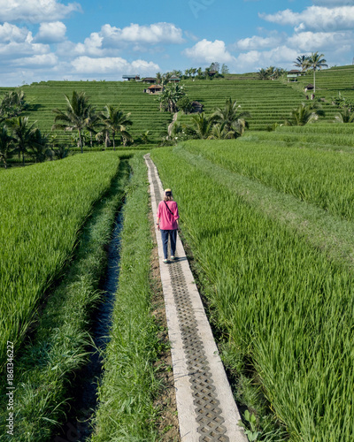 Woman Walking Along Rice Field Path In Ubud Bali, Aerial View Of Lone Traveler In Pink Dress On Narrow Stone