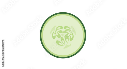 A refreshing and healthy green cucumber slice illustration showing its distinct circular shape vibrant light green flesh and visible seed pattern