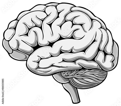 Stylized black and white illustration of the human brain seen in profile