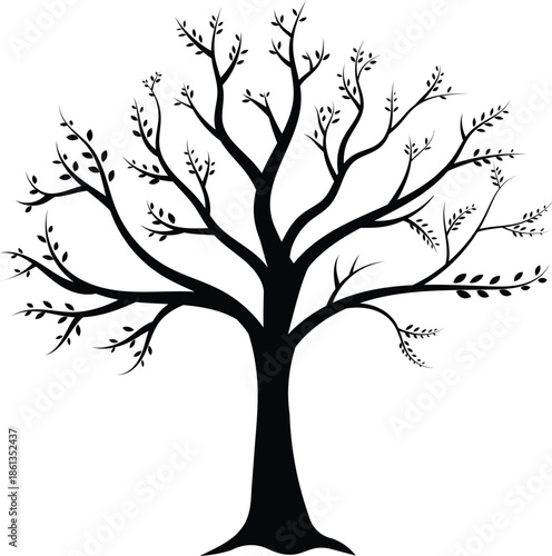 Nature Tree Silhouette Botanical Branches Leaves Organic Forest Growth Ecology