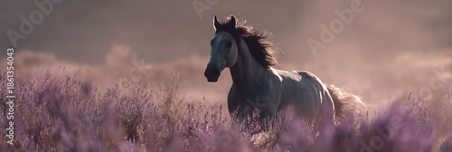Wild Horse in Lavender Field: A majestic wild horse gallops gracefully through a vibrant lavender field, bathed in the soft glow of the sun, evoking a sense of freedom and untamed beauty.