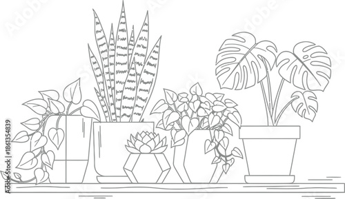 Collection of five potted house plants including monstera and snake plant illustrated in outline style